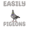 Funny Pigeon Lover Gift