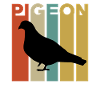Chemise pigeon rétro