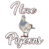 I love pigeons