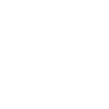 Viking Circle Icon