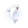 Beluga Whale Ocean Belugas Whales