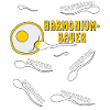HARMONIUMBAUER