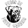 Perro de Presa Canario Hund