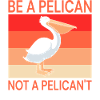 Pélican Pélicans Oiseaux Sauvagine