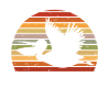 Pelican Pelicans Birds Waterfowl