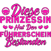 Fahranfänger Fahrprüfung Fahrschüler Geschenk