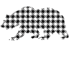 Papa Bear