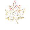 fall love Herbst bunt