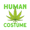 Cannabis costume