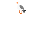 Stralsund lustiger Witz Stralsunder