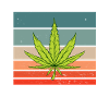 Dear Hemp