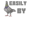 Easily Distracted By Pigeon Racing