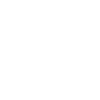 racing pigeon