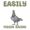 pigeon racing gift