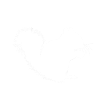 Erdmännchen