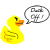 Canard en colère