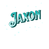 Noms Jaxon personnalisés