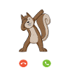 Erdmännchen