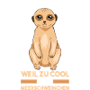 Erdmännchen