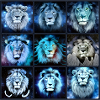 BLUE LION Collage