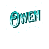 Nom Owen personnalisé