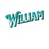 William name personalized