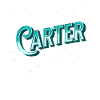 Nom Carter personnalisé