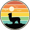 Alpaca silhouette before sunset