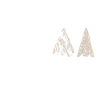 Arrowhead Hunting Arrowhead Collector