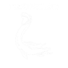 Plesiosaurus Dinosaur