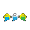 Budgie Parakeet Bird Owner I Love My Budgies