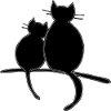 Katzen
