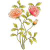 Fleur