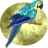 Oiseau
