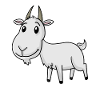 Cute Goat