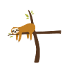 Jesus Sloth