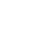 Pecan Cake Pecan Cake