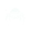 Jumping Spider Saying