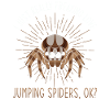 Dicton Jumping Spider