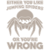 Jumping Spider Saying