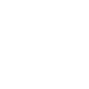Dicton Jumping Spider