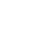Dicton Jumping Spider