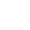 Spider Spider Web