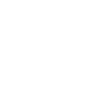 Dicton Jumping Spider