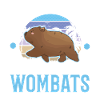 Wombat australien
