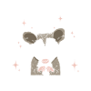 Opossum Possum Tier