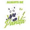 Panda Bjørn Panda Dyr Pandaer