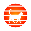 Cat Sunset