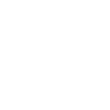 Boxer Hund