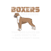 Boxer Dog